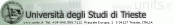Universit&agrave; degli studi di Trieste 